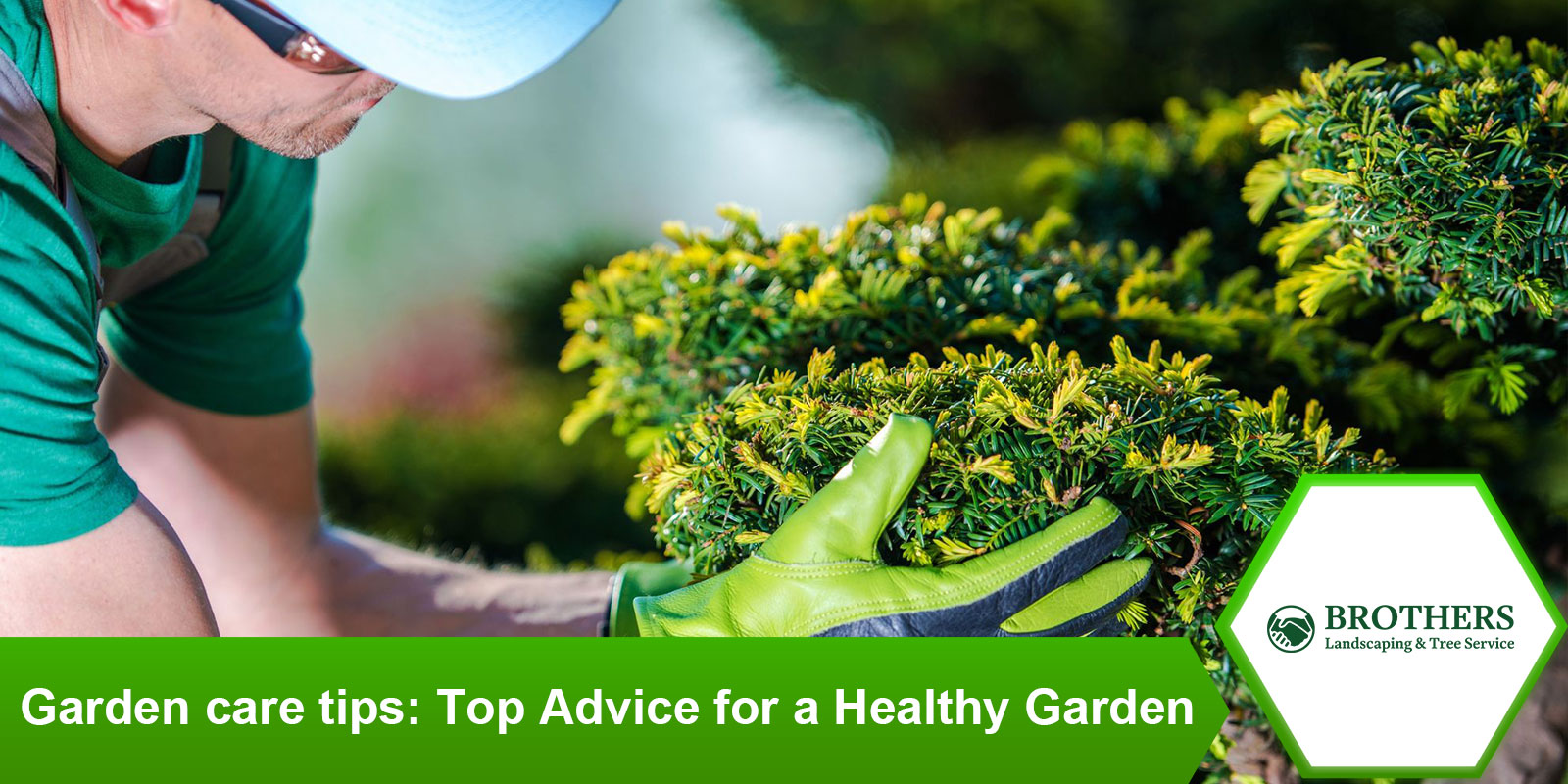 garden-care-tips-top-advice-healthy-garden