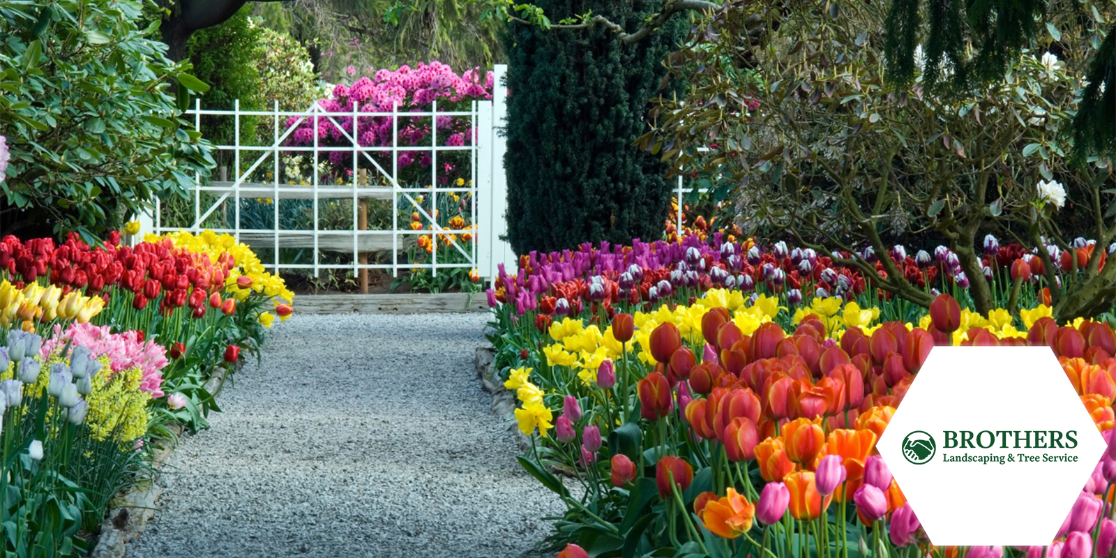 Vibrant Garden Colors to Enhance Your Outdoor Space