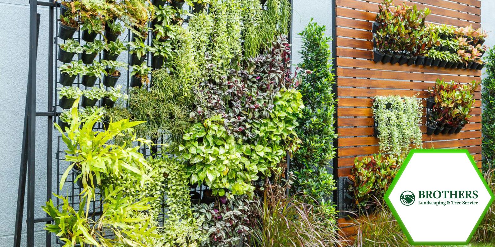 vertical-garden-mason-county