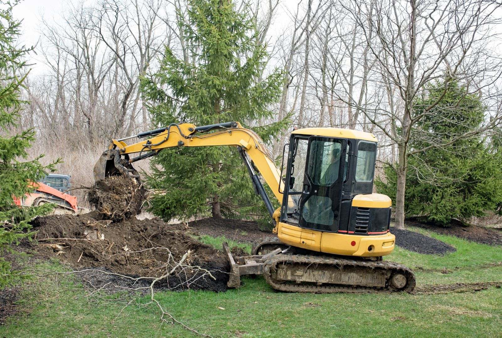 Essential equipment for tree removal, including chainsaws and safety gear.