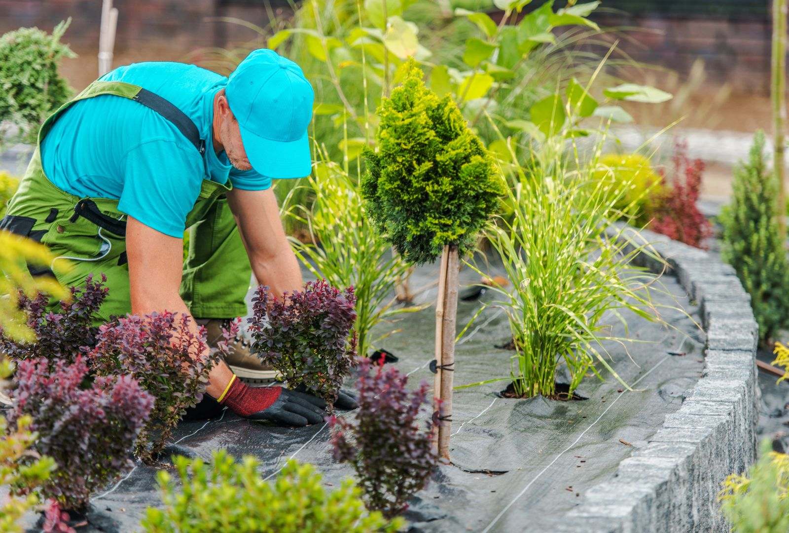 Rock garden ideas for low-maintenance landscaping