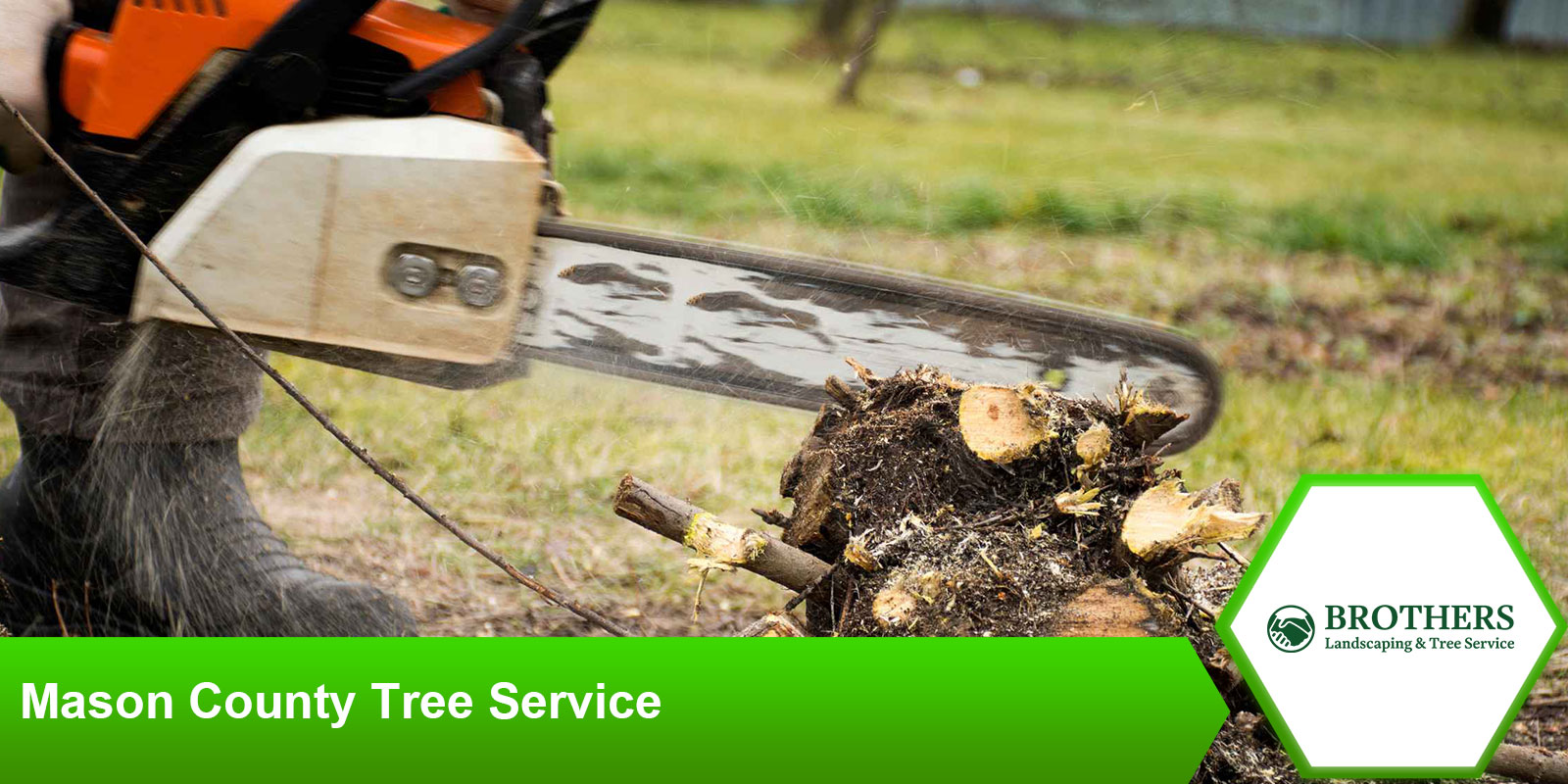 mason-county-tree-service