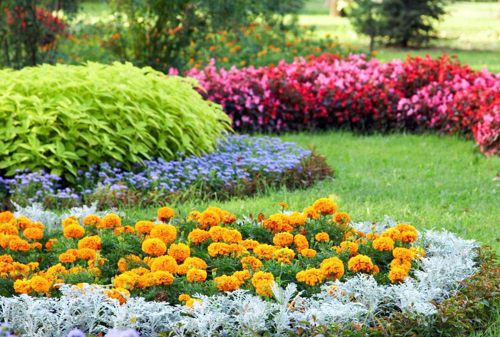 Effective sustainable landscaping tips for Mason County