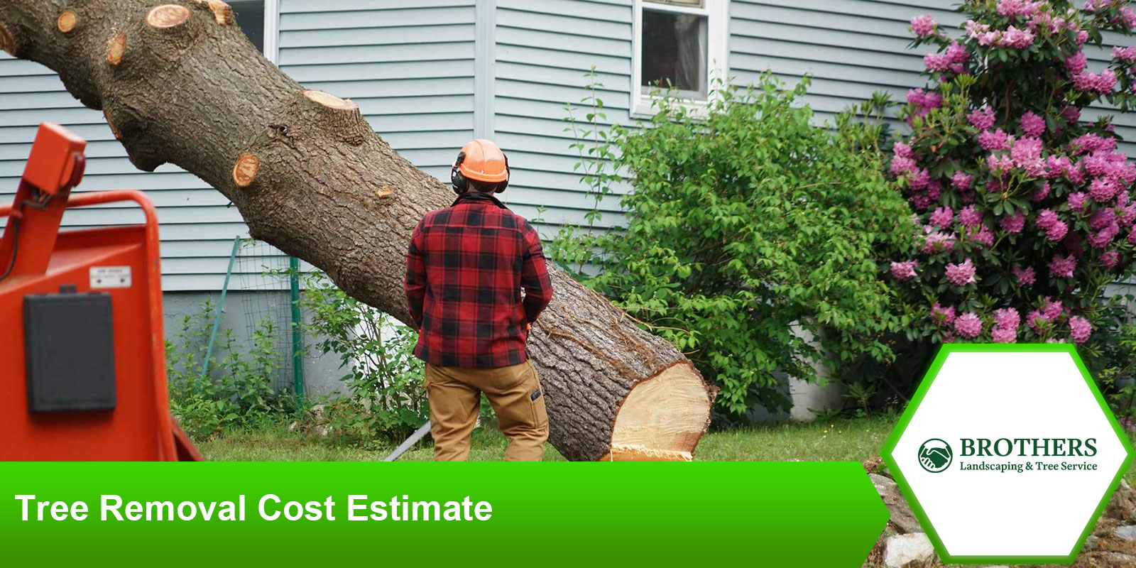 Tree Removal Cost Estimate: What to Expect and Plan