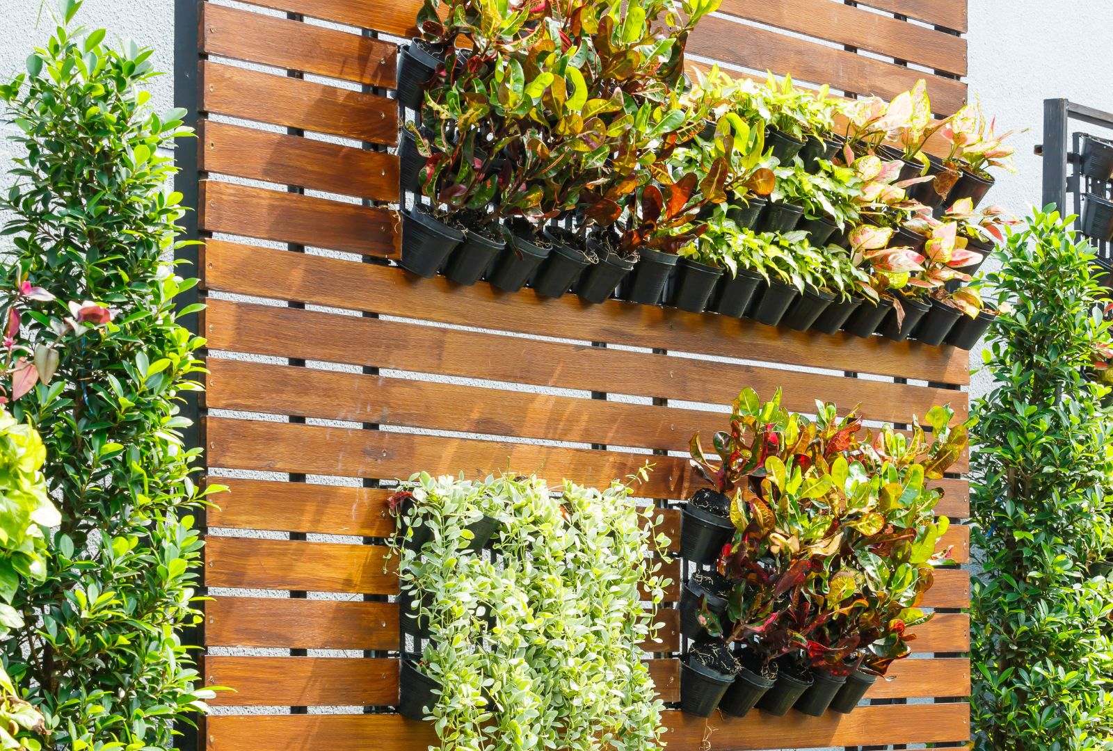 Vertical garden ideas for maximizing small spaces.