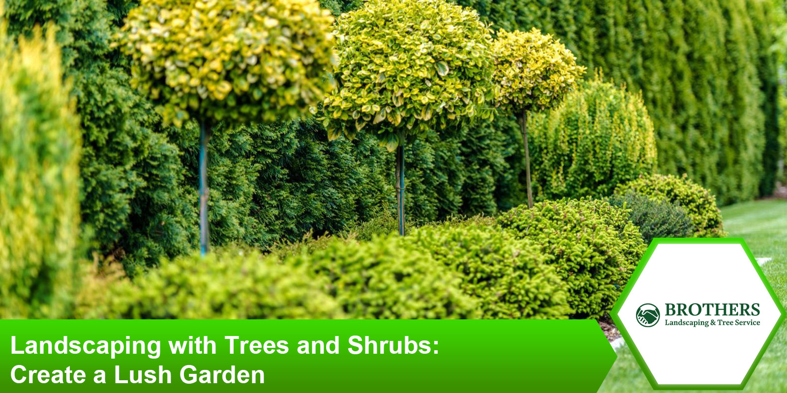 Lush landscaping ideas using trees and shrubs for a vibrant garden.