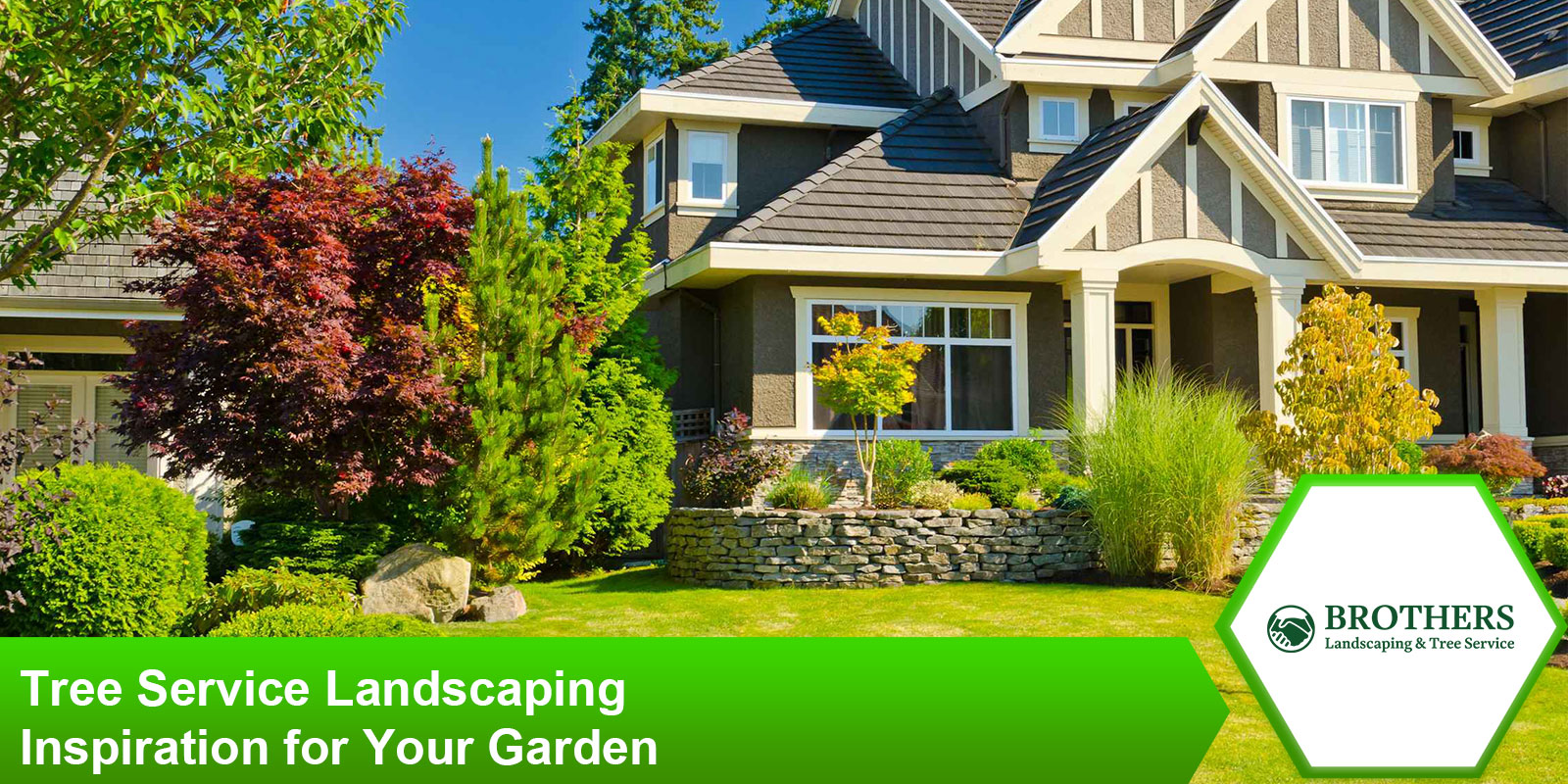 Landscaping inspiration for tree service to enhance your garden.