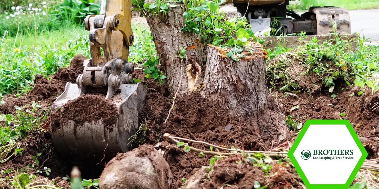 Digging around a stump for removal