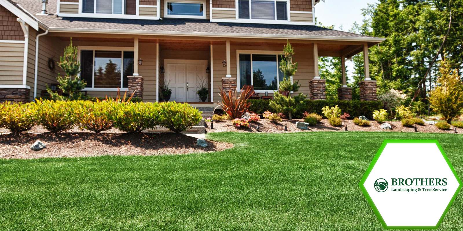 A lush, green lawn freshly mowed and edged.