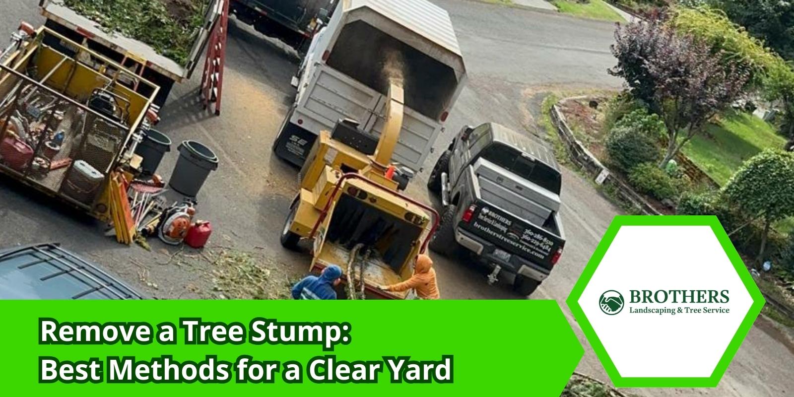 Tools needed to remove a tree stump
