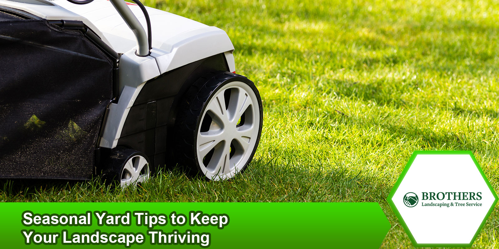A person fertilizing a lush green lawn in spring.