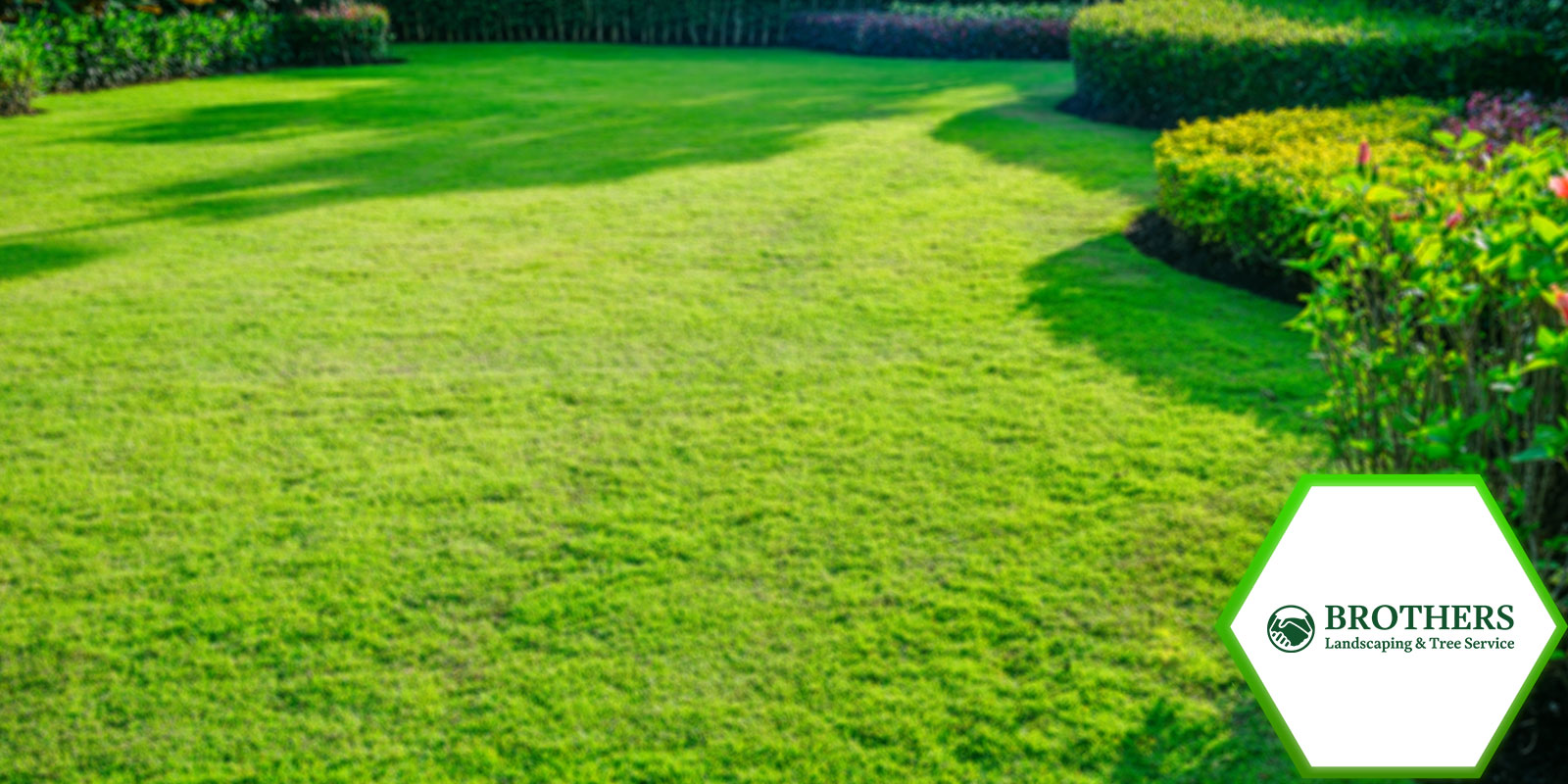 A homeowner watering plants in a backyard garden.