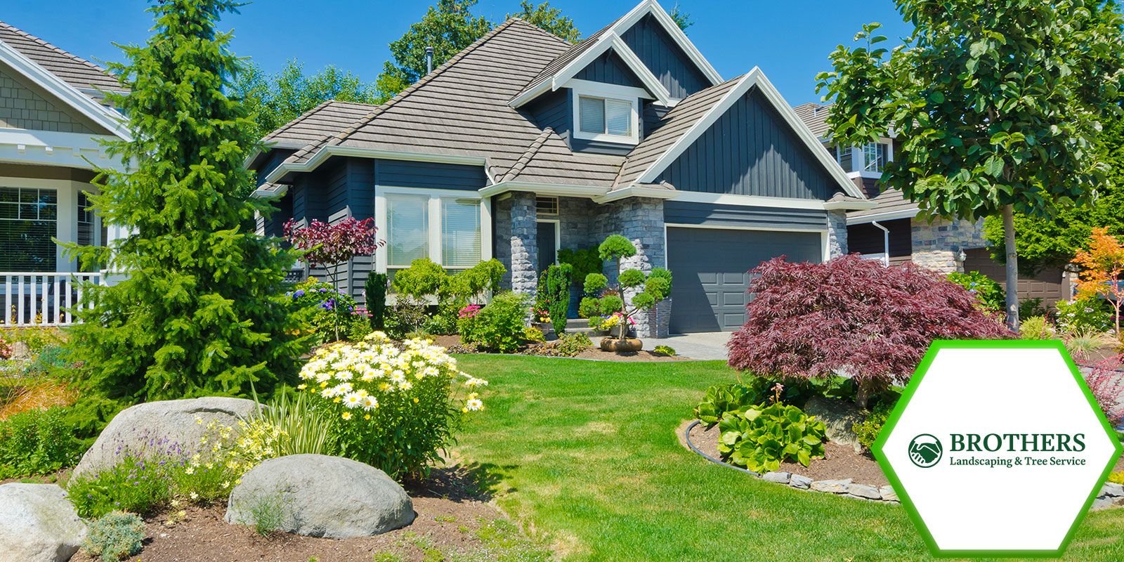 A drought-tolerant garden with native plants.