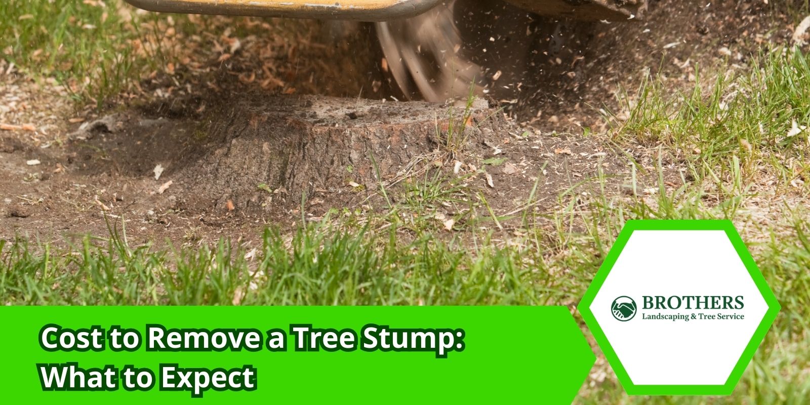 Factors affecting tree stump removal cost