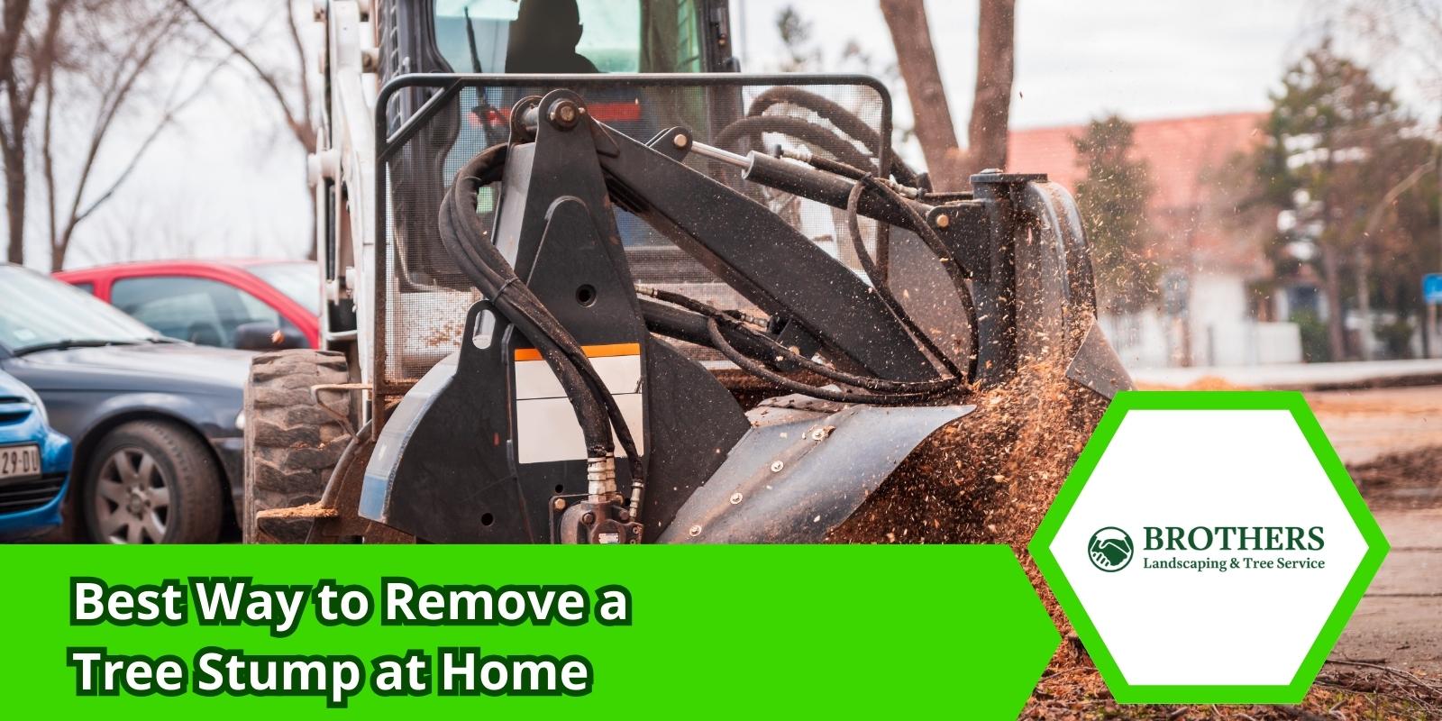 Homeowner removing a tree stump