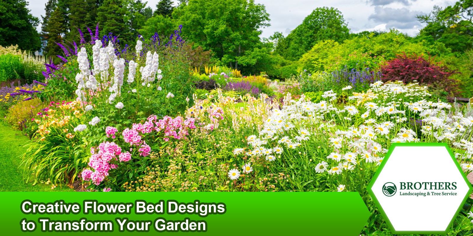 A flower bed full of colorful blooming flowers.