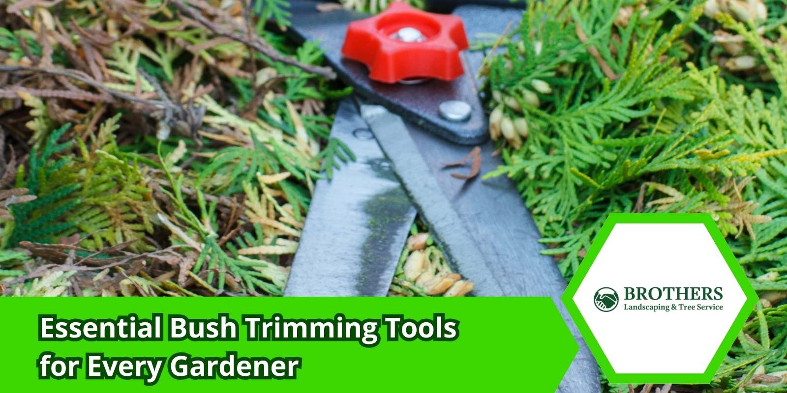 Hand pruners used for precision trimming of small branches