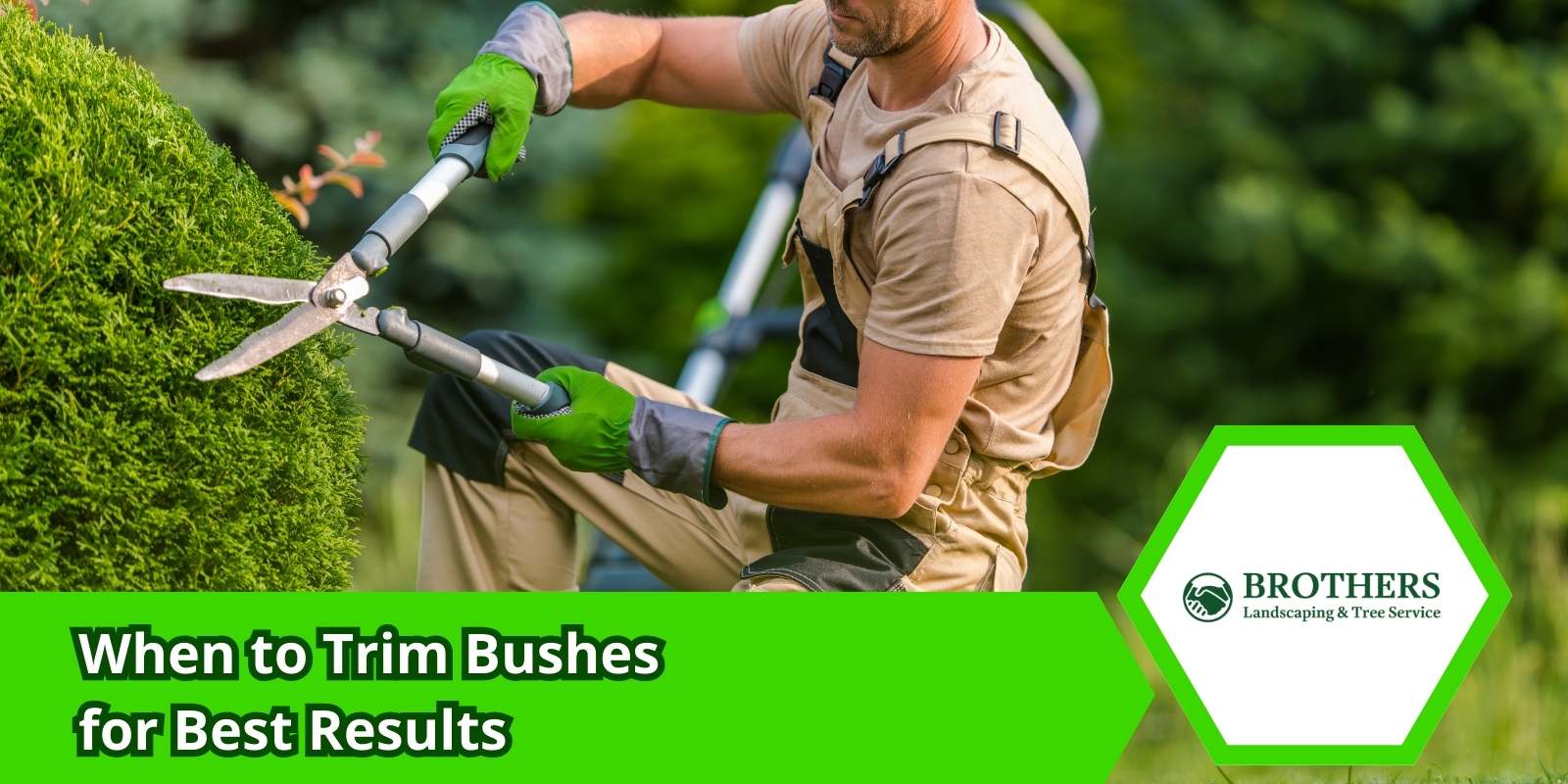 Landscaper trimming bushes during early spring
