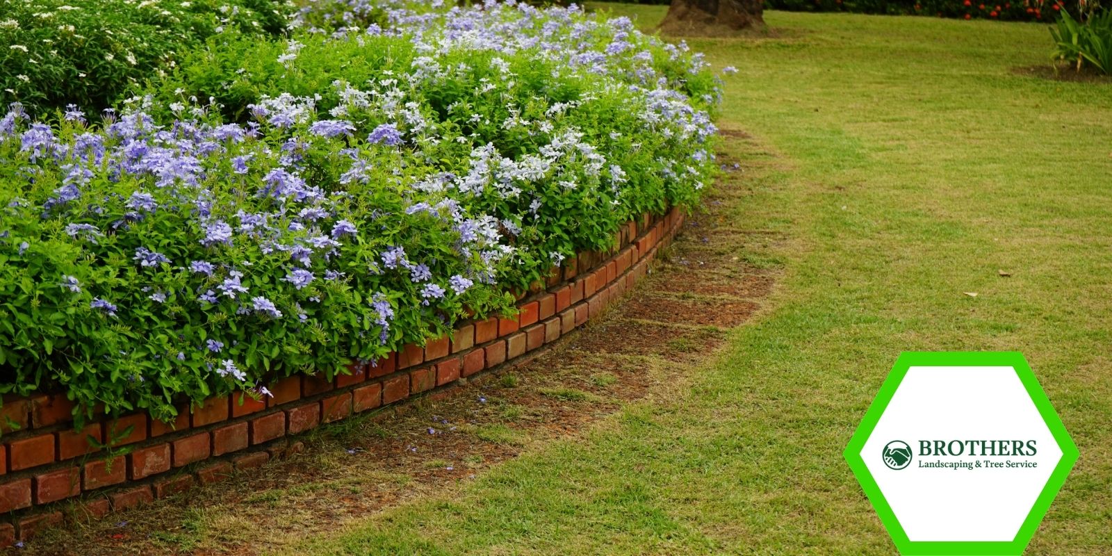 Red brick edge outlining a curved front yard flower garden