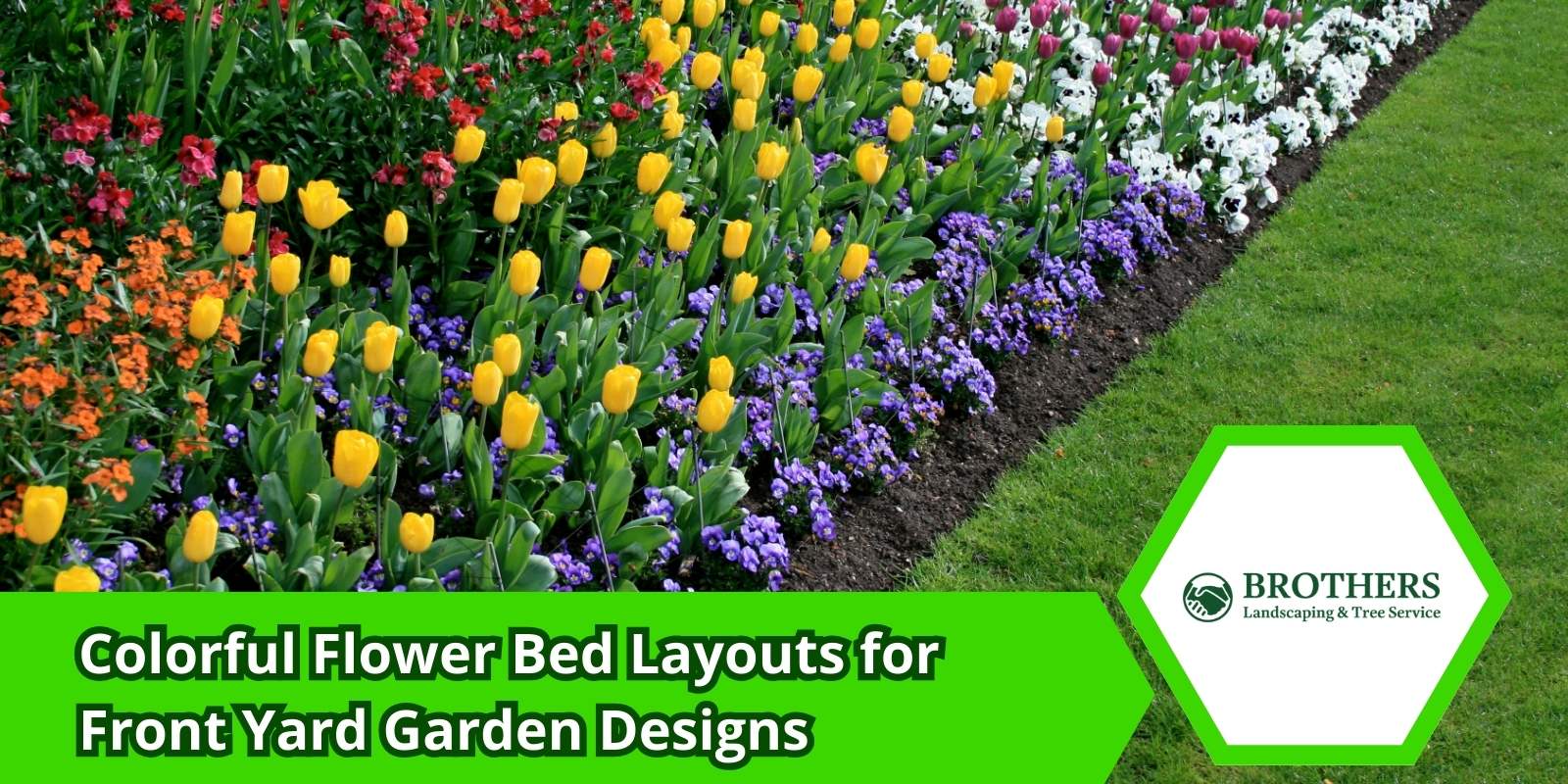 Vibrant front yard flower bed with layered colorful flowers in a curved layout