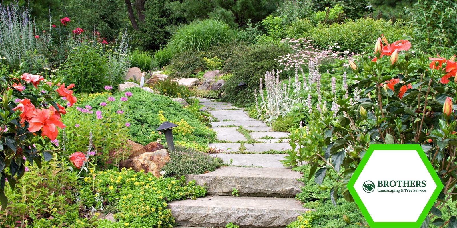 Flower bed in a front yard corner with layered plants