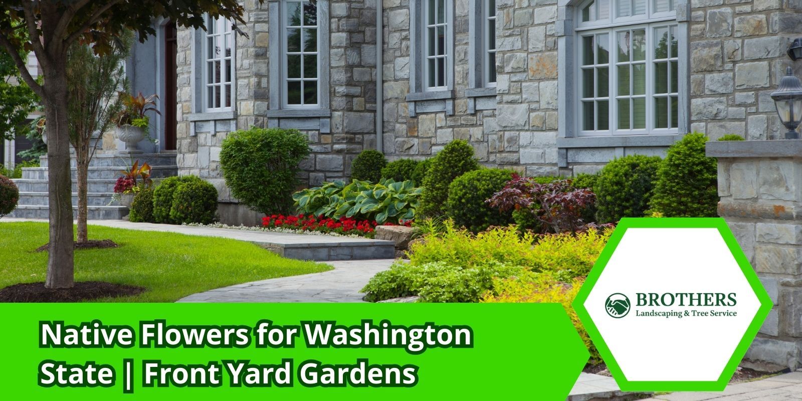 Front yard garden in Washington with native wildflowers