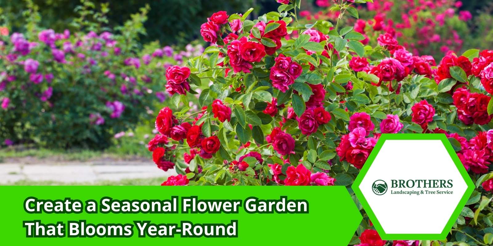 Front yard with flowers blooming in spring, summer, and fall