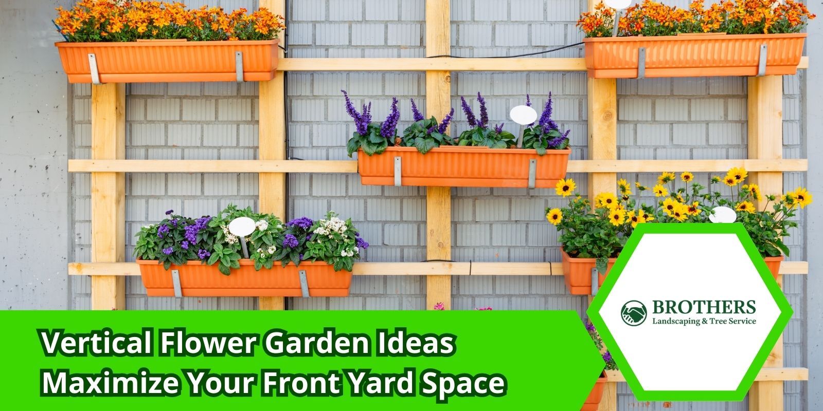 Colorful vertical garden with flowers growing in a mounted wall planter