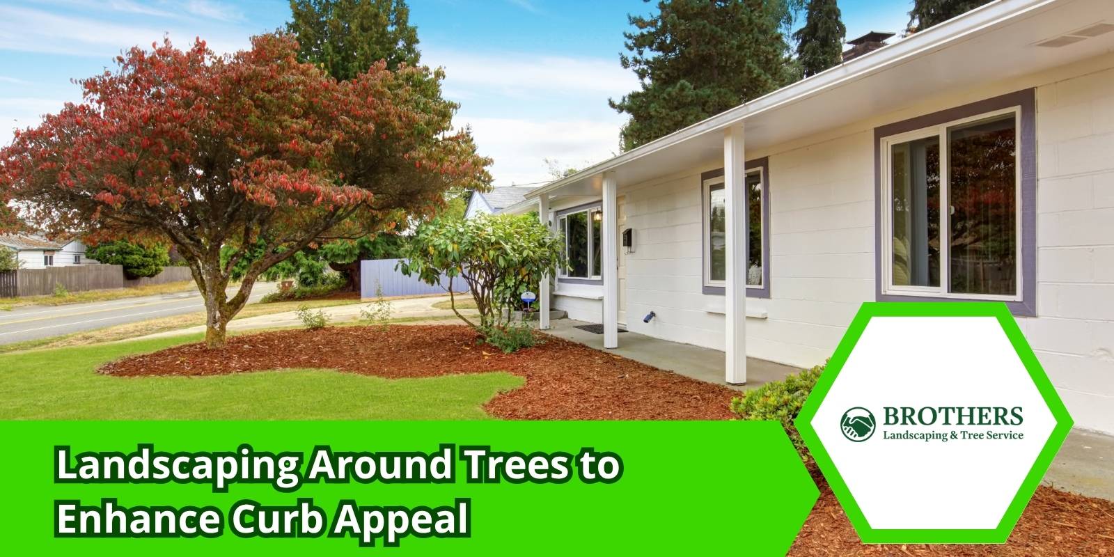 Front yard tree area with improved landscaping and curb appeal