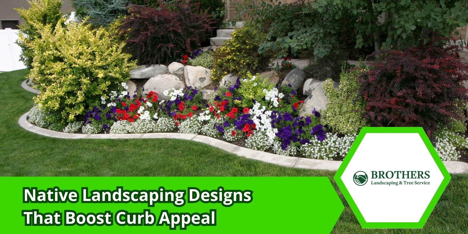 Front yard with native plants and decorative mulch