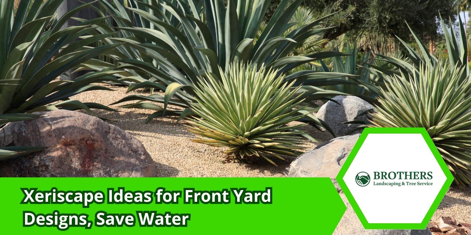 Front yard with drought-tolerant plants and decorative gravel