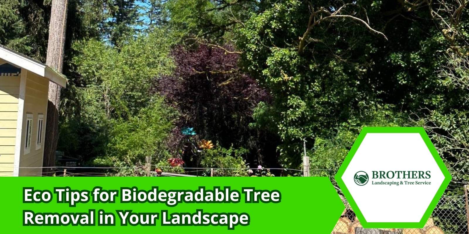 Tree stump covered in mulch as part of biodegradable removal