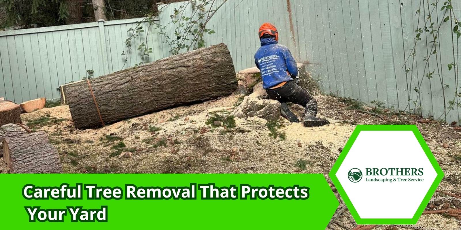 Tree being removed with minimal impact to surrounding landscape