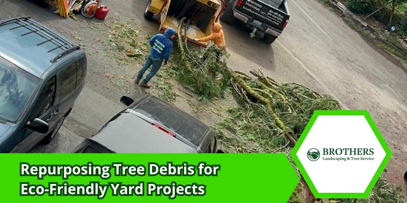 Crew from Brothers Tree Service repurposing tree debris on-site for eco-friendly landscaping after tree removal