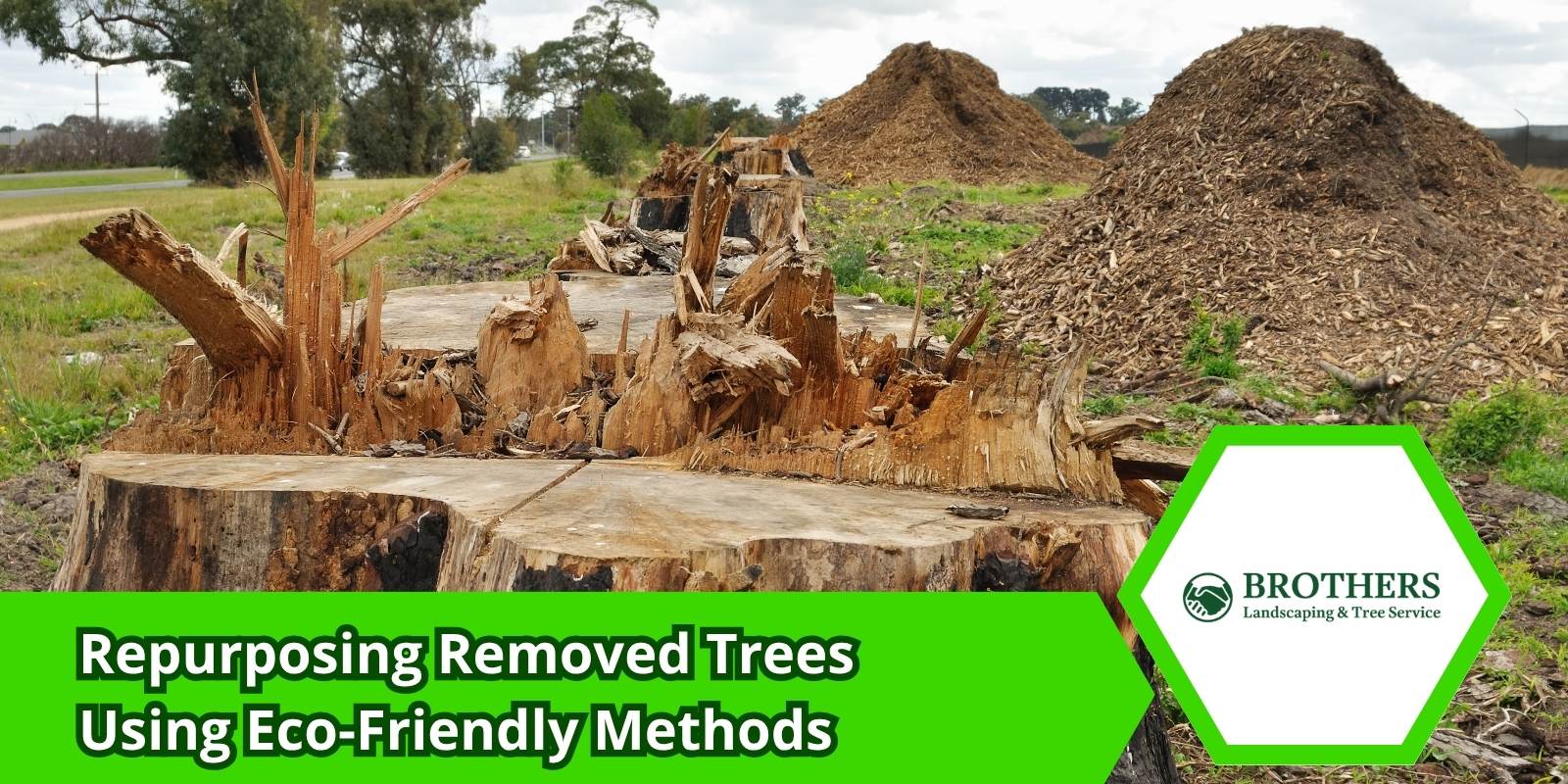 Tree limbs chipped into mulch and reused in landscaping
