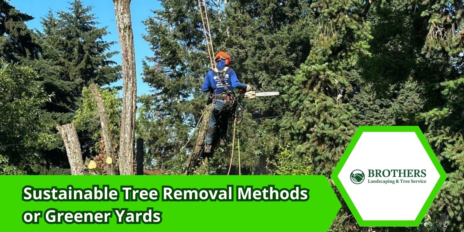 Eco-friendly tree removal using stump grinding and mulch