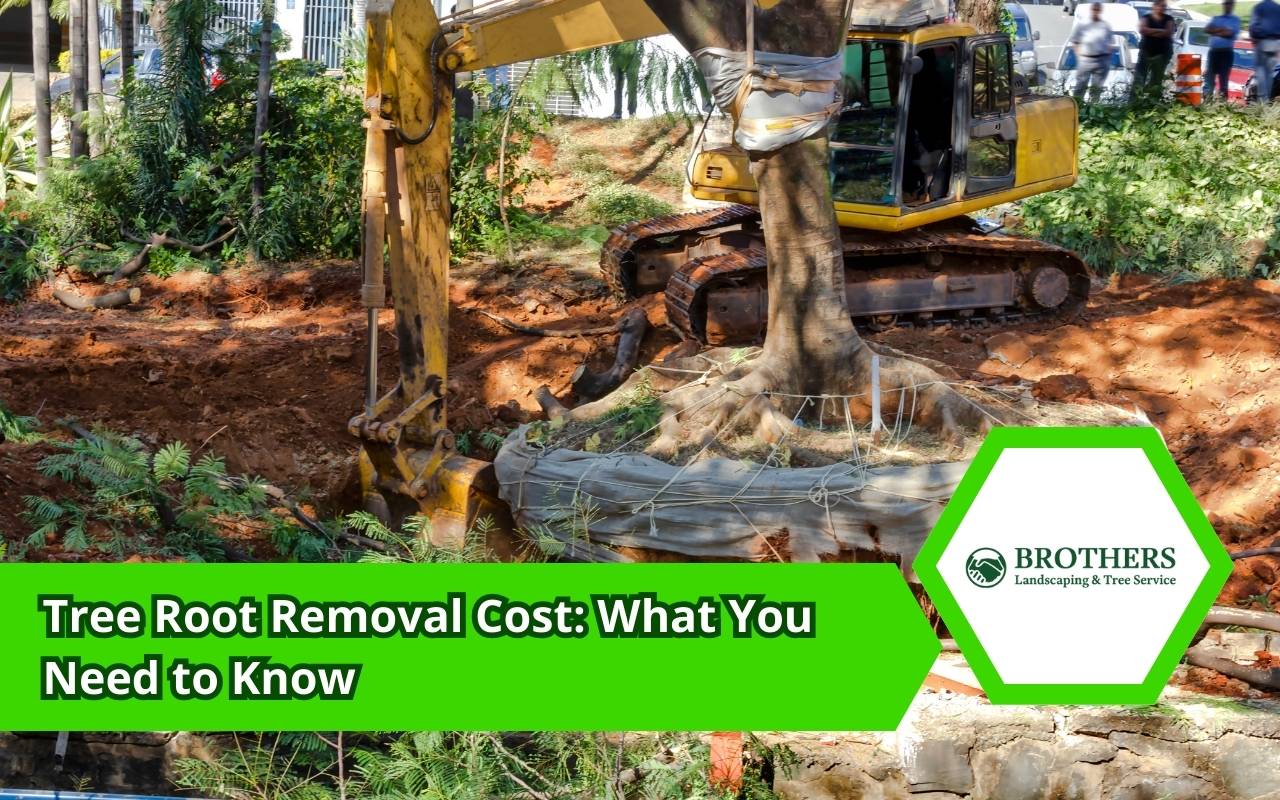 Root grinding equipment used for tree root removal