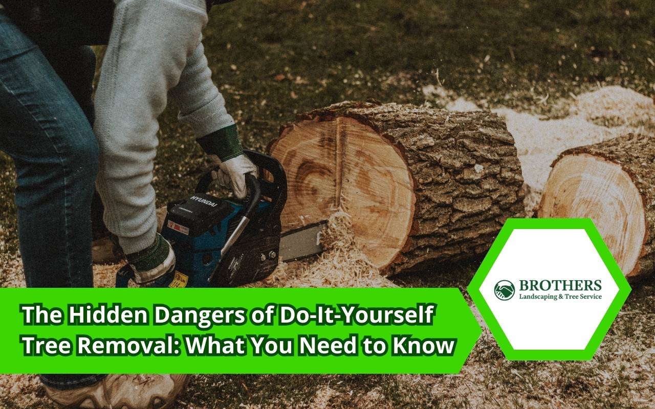 Do-it-yourself tree removal risks causing property damage
