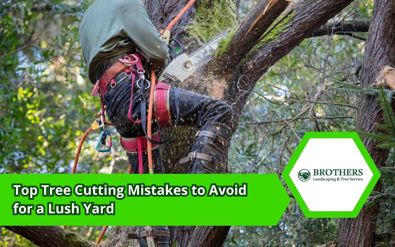 Tree cutting mistakes to avoid for a lush and safe yard