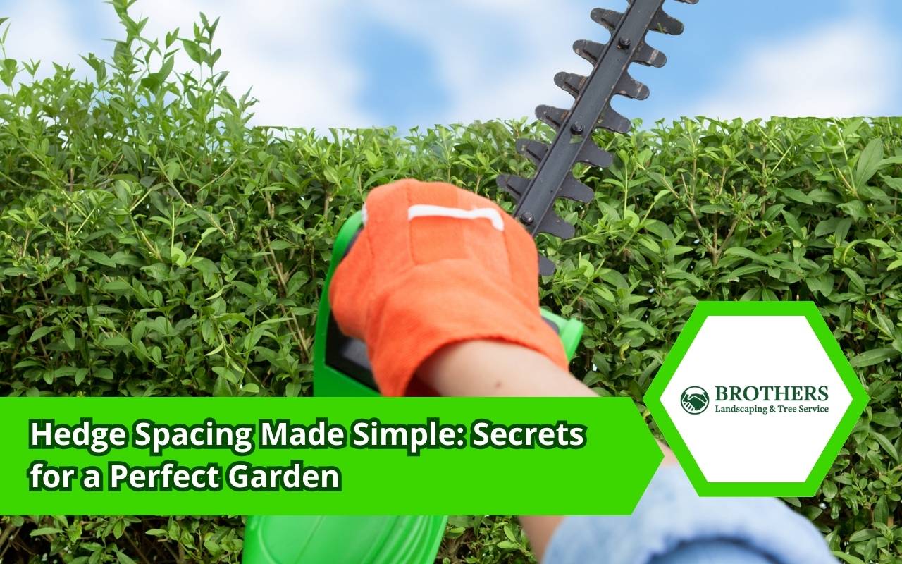 Tools for precise hedge spacing