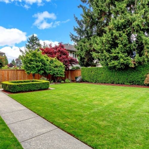Custom backyard design by Brothers Tree Landscaping Service in Tacoma, WA