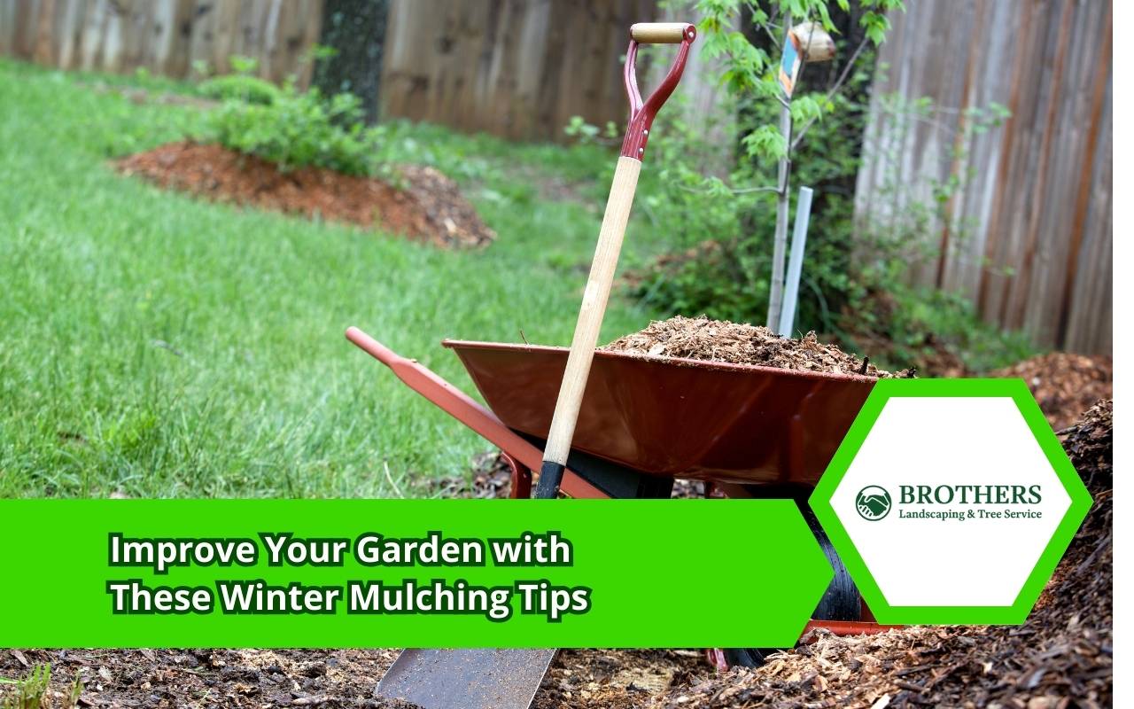Winter mulching tips applied in a home garden to protect soil and plant roots.
