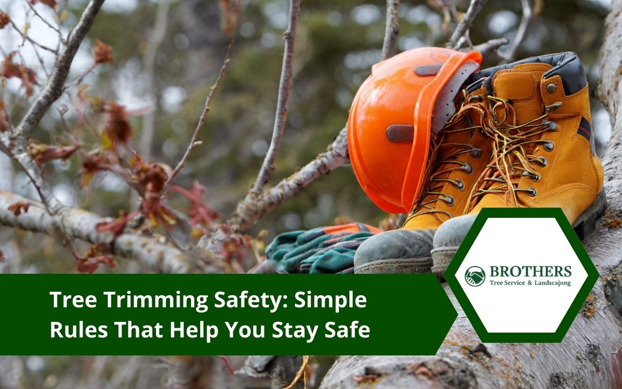 tree trimming safety gear like helmet, gloves, and boots before cutting branches