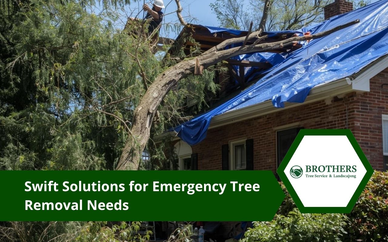 Emergency tree removal after storm damage near a home