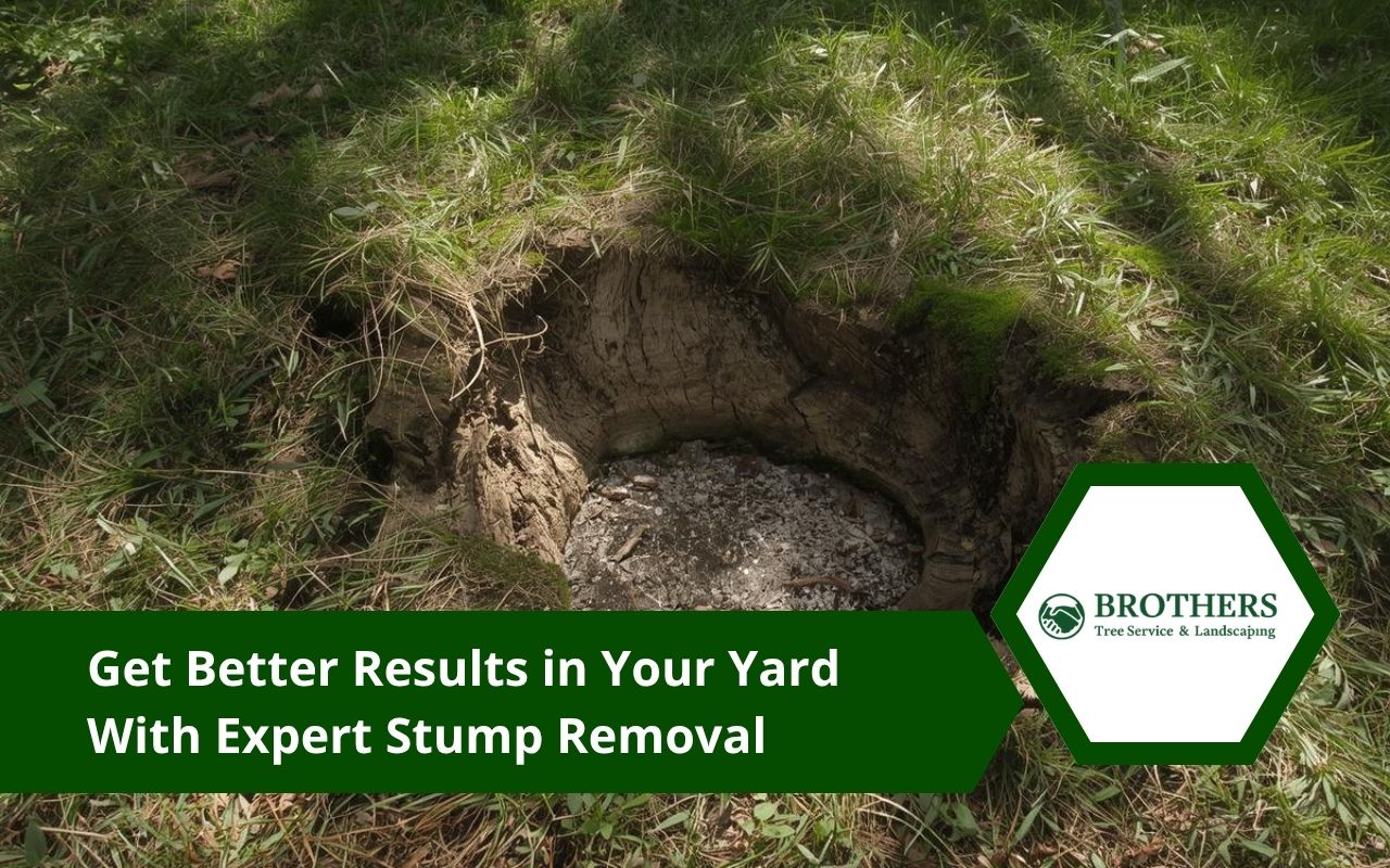 Tree stump problems creating uneven ground in a yard
